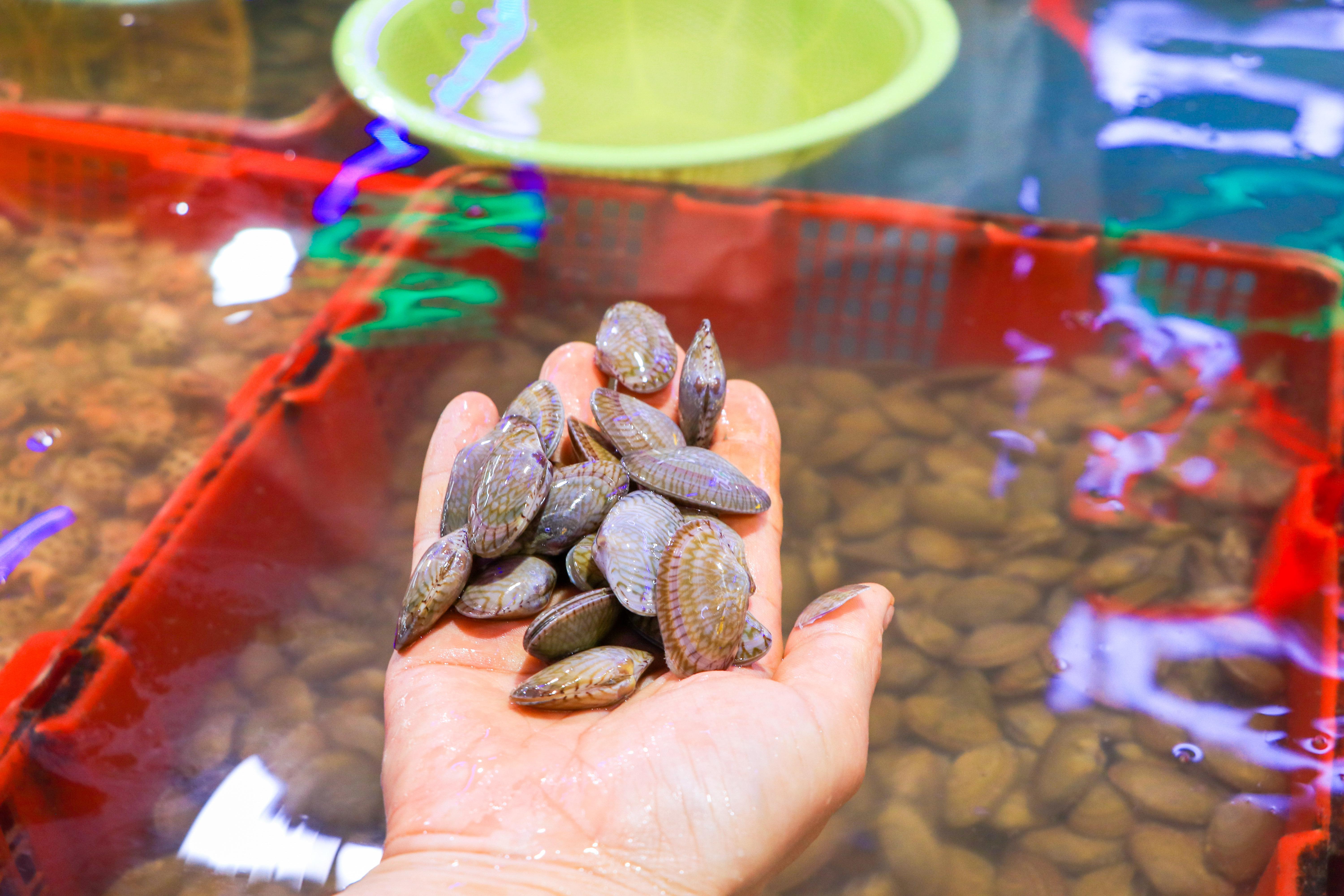 什么叫找美食（怎样在旅行中快速找到当地人爱去的饭店）