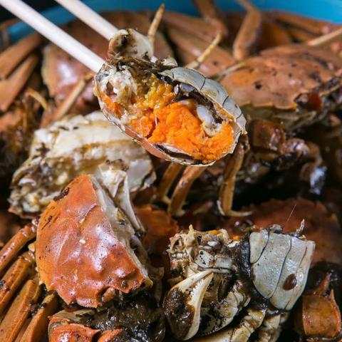 哈尔滨市驾校在什么位置