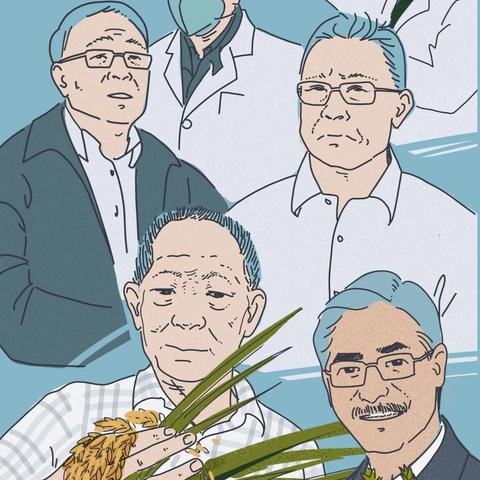 麦玲玲属鼠生肖运势(麦玲玲2021年鼠人运势运程)