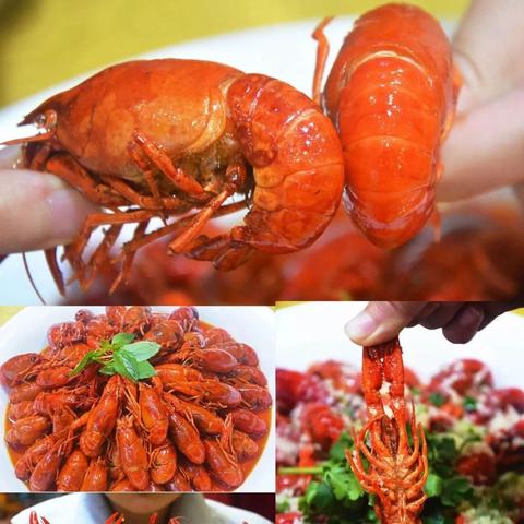 哈尔滨红军龙虾相关长尾关键词有哪些