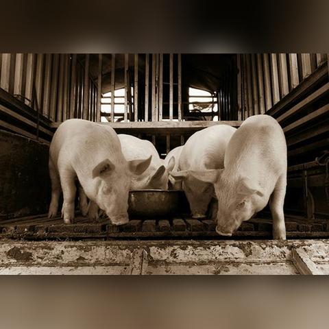 房地产运营专员做什么的长尾关键词是什么