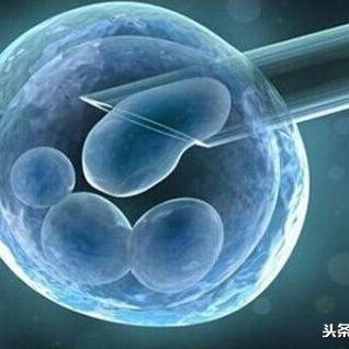 试管婴儿全流程拆解：从准备到成功怀孕的每一步详解