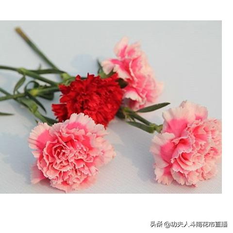 顺丰跨境运费多少