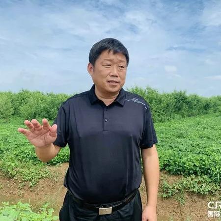 河南哪个花生种好的多