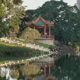 广州市流花公园什么区