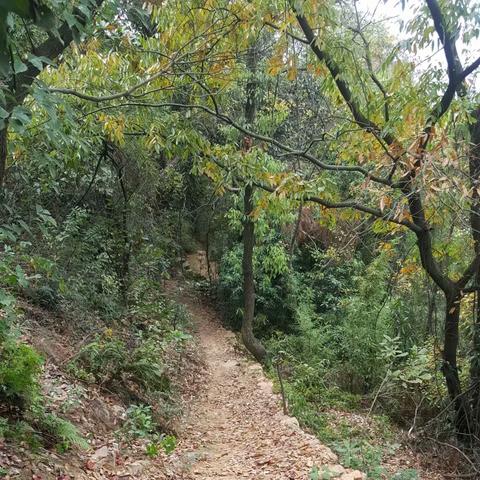 无锡市哪里可以爬惠山