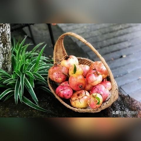 苏州口腔医院常熟分院什么时候开