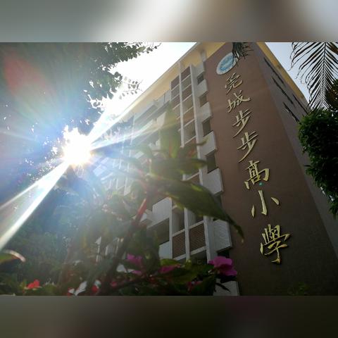 东莞市莞城区怎么划分的