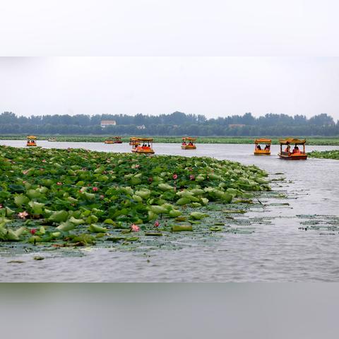 周口市的市内景点在哪里