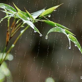 石家庄市现在下什么雨啊