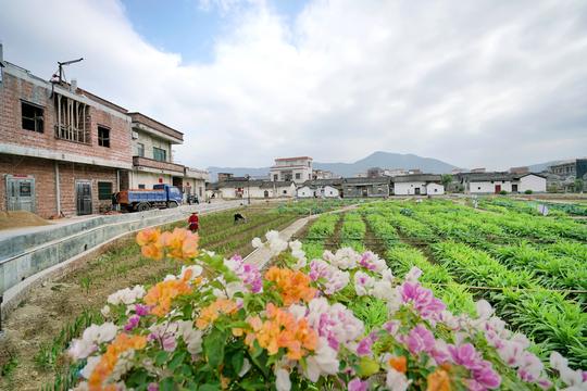 吃素品茶泡温泉探寻云浮新兴六祖故里广东冷门温泉线路
