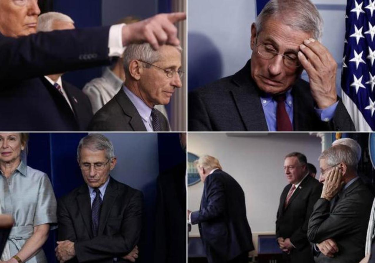 【嘉定疫情最新消息今天
 /嘉定疫情最新消息今天封城了】