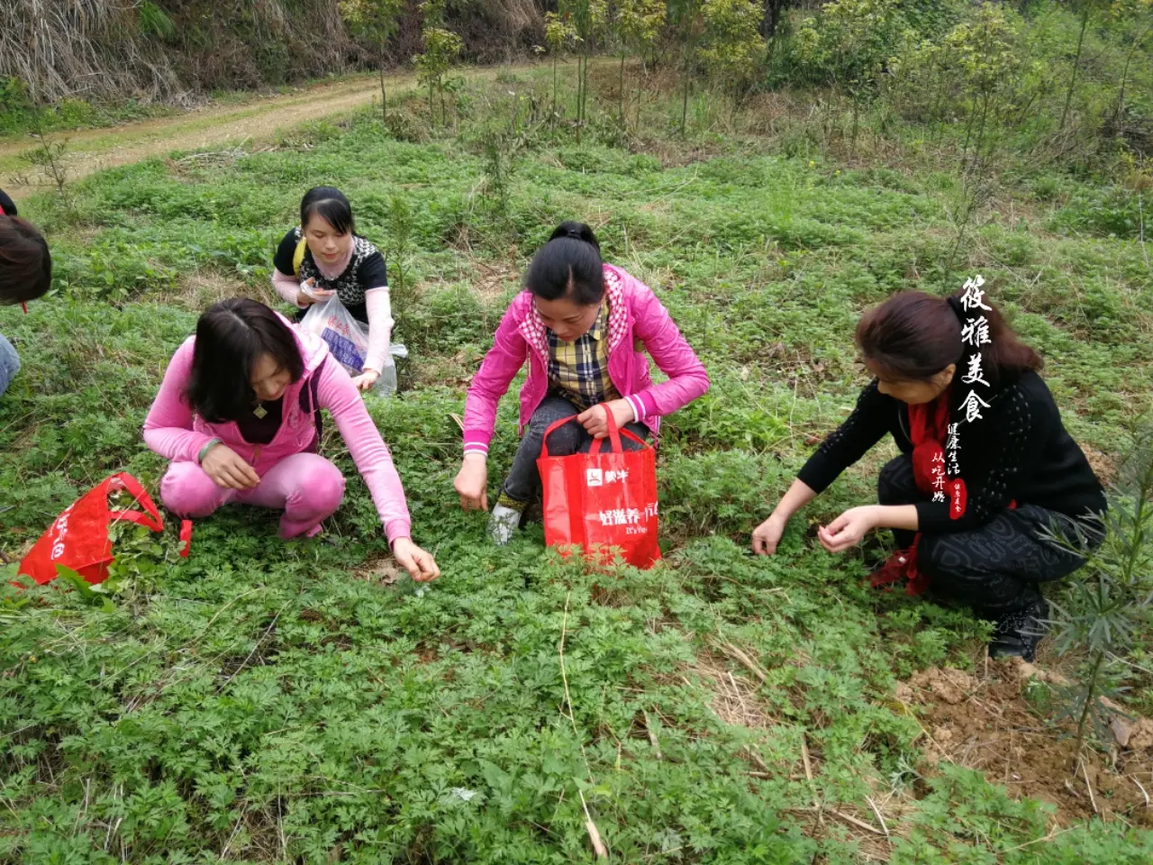 怎么样可以做微商 怎么样做微商
