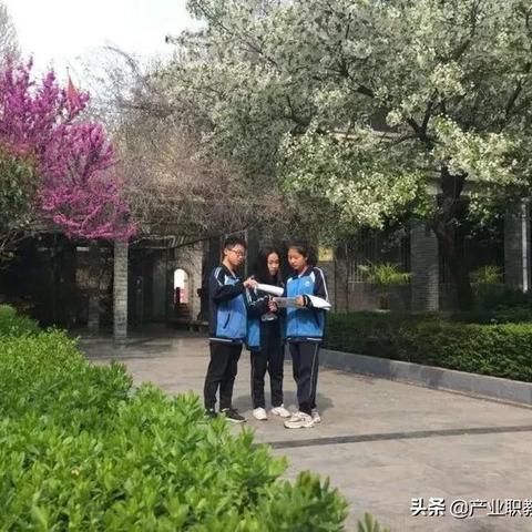 西安市莲湖区十中怎么样