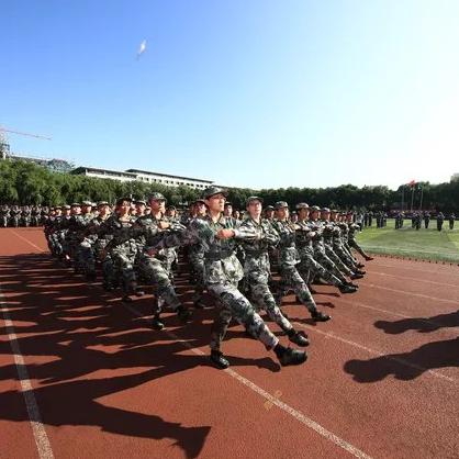 哈尔滨市哪个大学好点的