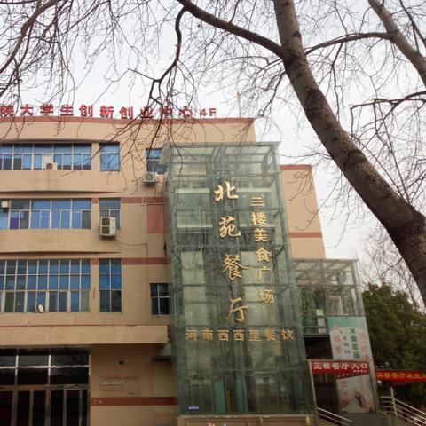 河南留学生组织的相关长尾关键词有哪些