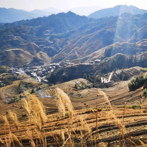 疫情防控桂林电话号码相关长尾关键词有哪些