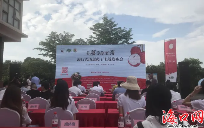 店群怎么找货源 店群货源在哪找