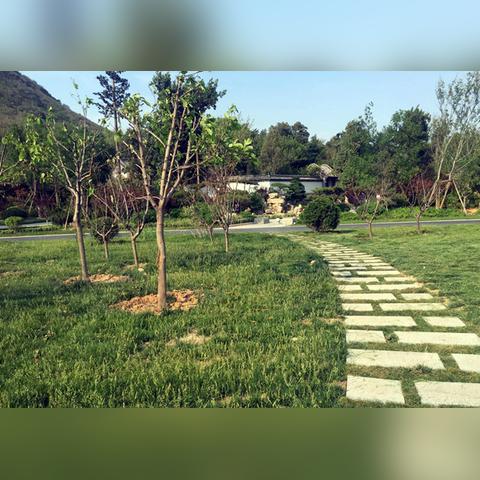 济南大观园拆迁相关长尾关键词有哪些