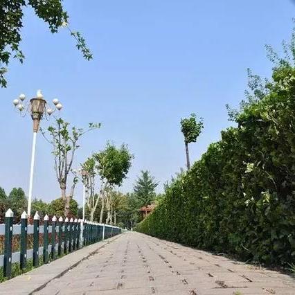 邯郸市老车翻新的长尾关键词有哪些