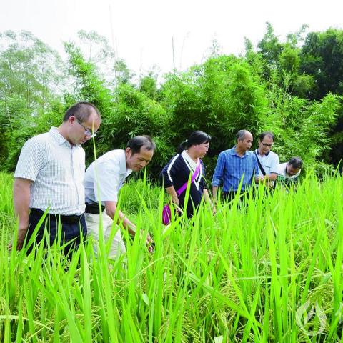 广东省佛山市农科所电话的长尾关键词有什么