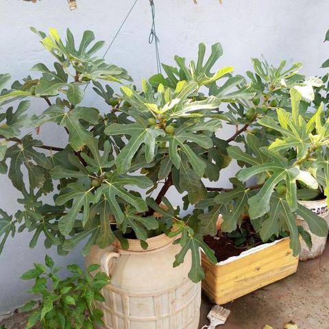 福建梅雨季节是几月份？