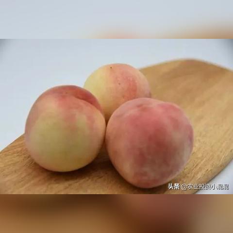 宁波市水果市场桃子什么价格