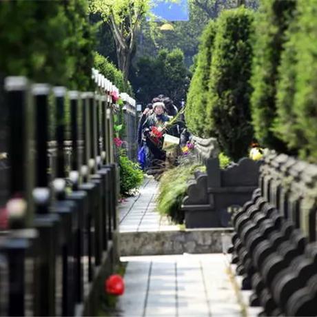 无锡市扫墓花束哪里有卖