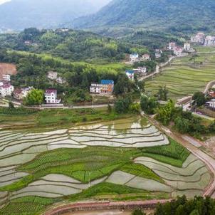 福建高产食品流通怎么样