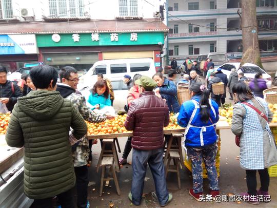 农村小货车赶集卖货生意越来越难，我们今年的出路在哪儿