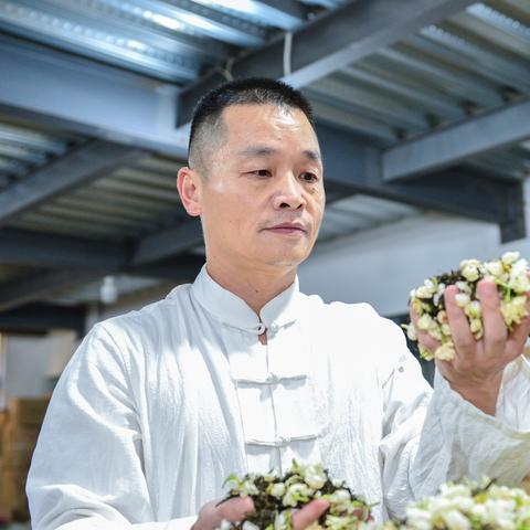 四川和福建的茉莉花茶哪个好？