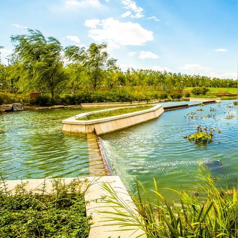 天津生态城怎么样