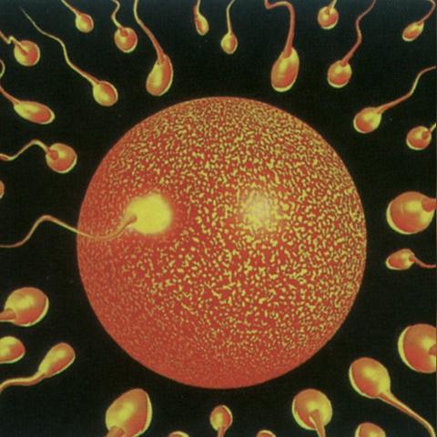 透明相机软件安卓版的长尾关键词是什么