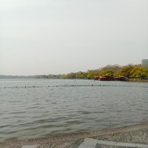 去杭州西湖的话，旅游大巴车是停那里的？