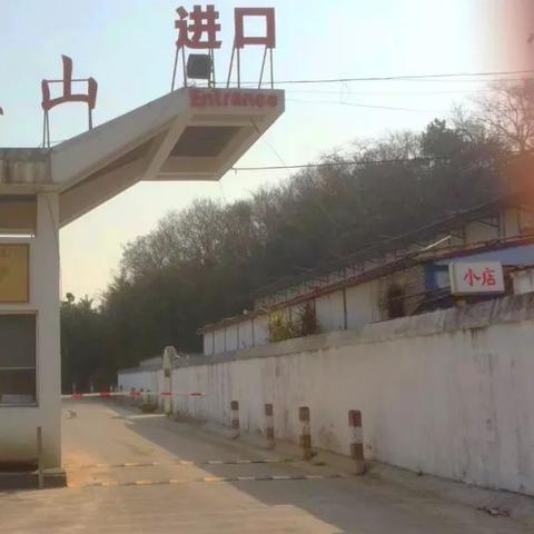 宁波市有什么好初中