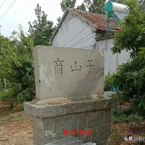 临沂市人口流动情况的长尾关键词有什么