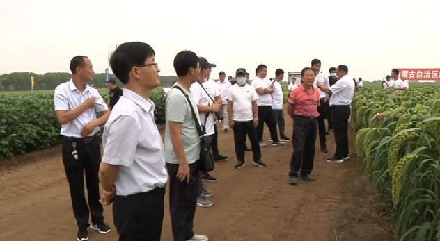 农业科学论文格式模板农业大学历史沿革