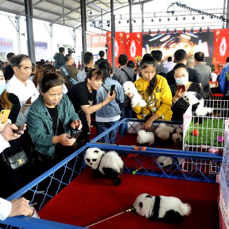 深圳市众鑫达物流怎么样