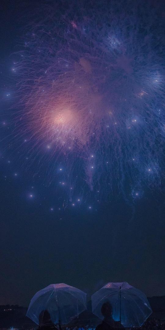 壁纸｜坠落星空