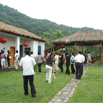 什么是网络营销活动