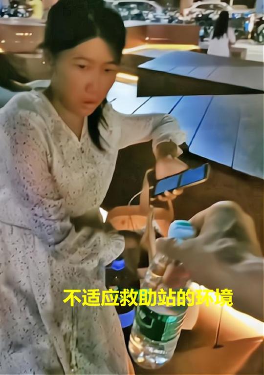 “只想做黑丝白领”女大学生街头躺平不打工，冷门专业就该如此？