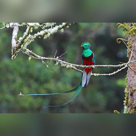 足球运动员的脚趾甲的长尾关键词有哪些