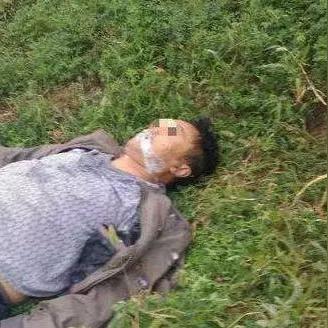 哈尔滨猫狗之家相关长尾关键词有哪些