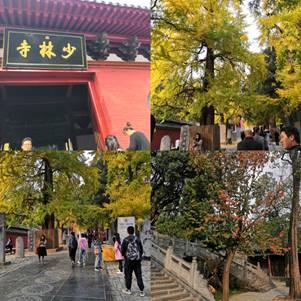 河南哪个旅游资源最富
