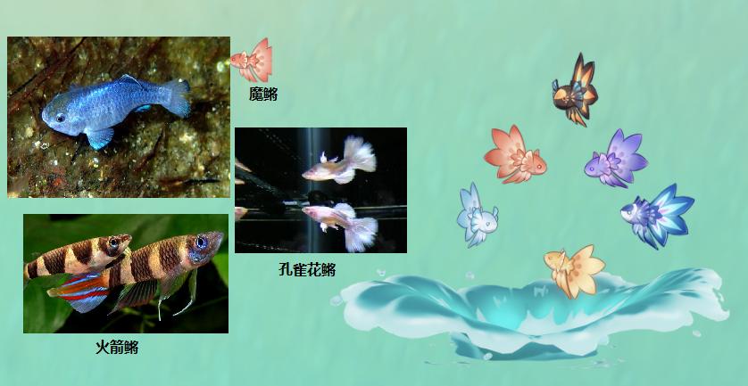 原神花鳉怎么获取（原神红色花鳉钓鱼位置）