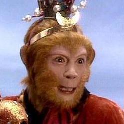 天干地支五行代表数字有哪些_天干地支五行代表数字有哪些(天干和数字五行)