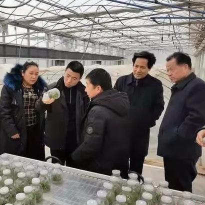 大连市技师学院是什么