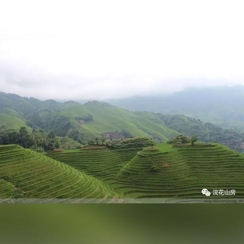 桂林哪里卖鹅翅膀相关长尾关键词有哪些
