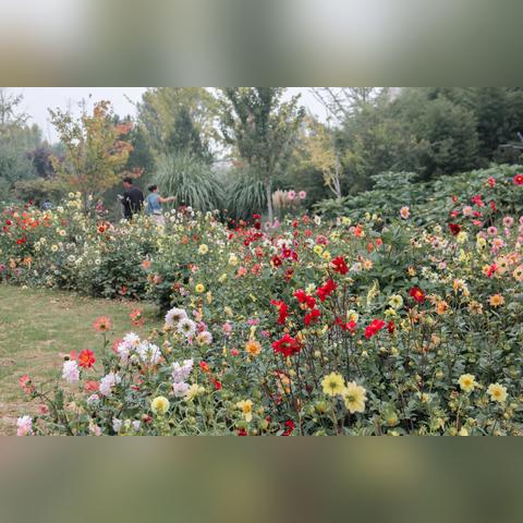 西安市植物园单位怎么样
