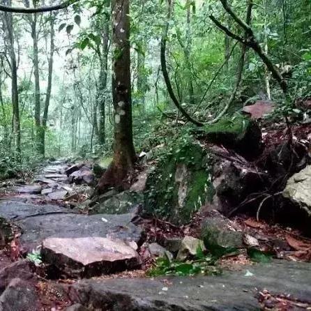 桂林市最美的日出在哪里